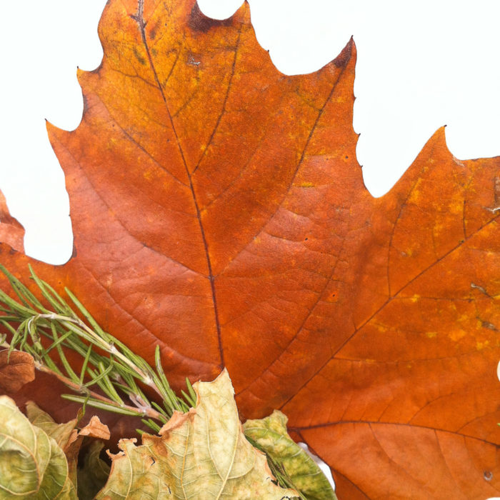 Wedding Decoration Fall's Leaves