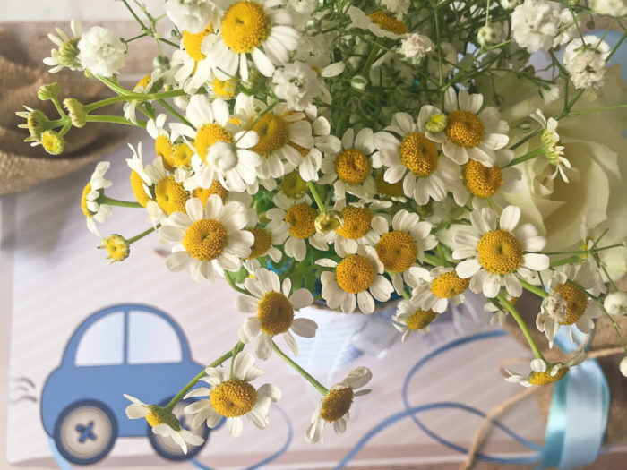 Christening Decoration Chamomile Gypsophyll