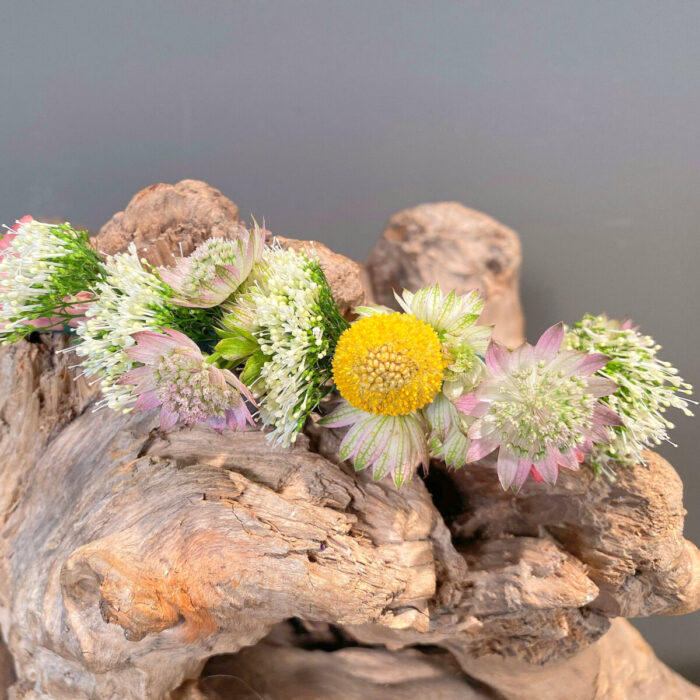 Bridal Hair Comb Craspedia Astradia Trachelium