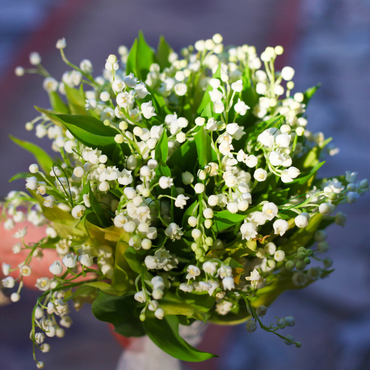 Bridal Bouquet Lily Valley