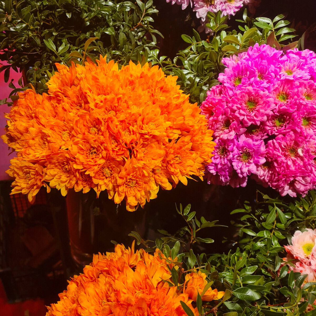 Bouquet Pink Orange Chrysanthemums