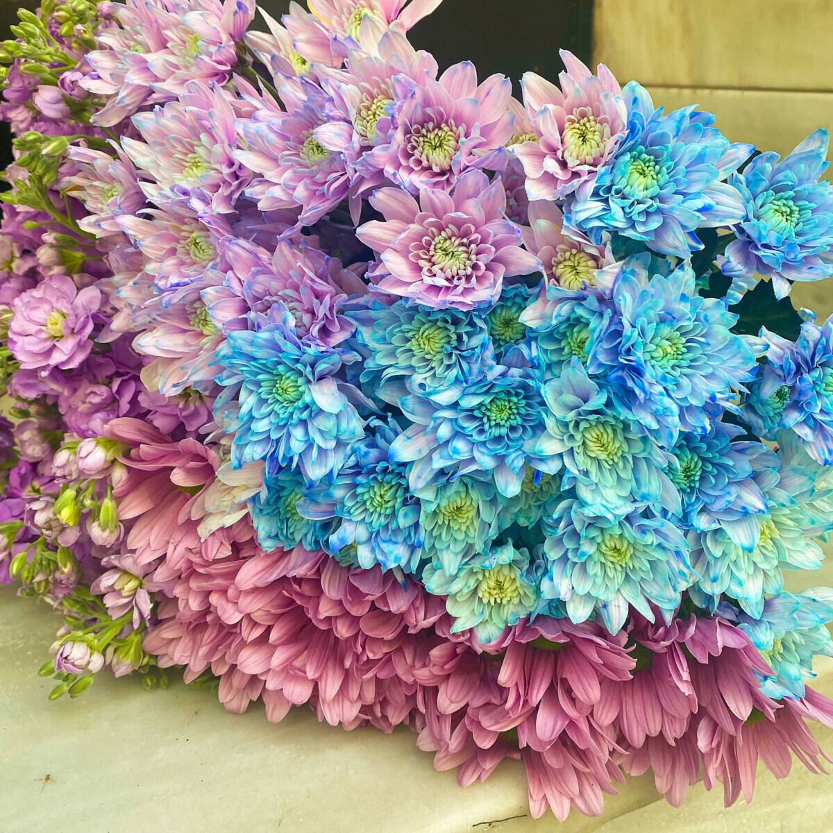 Bouquet Light Blue Lilac Chrysanthemums