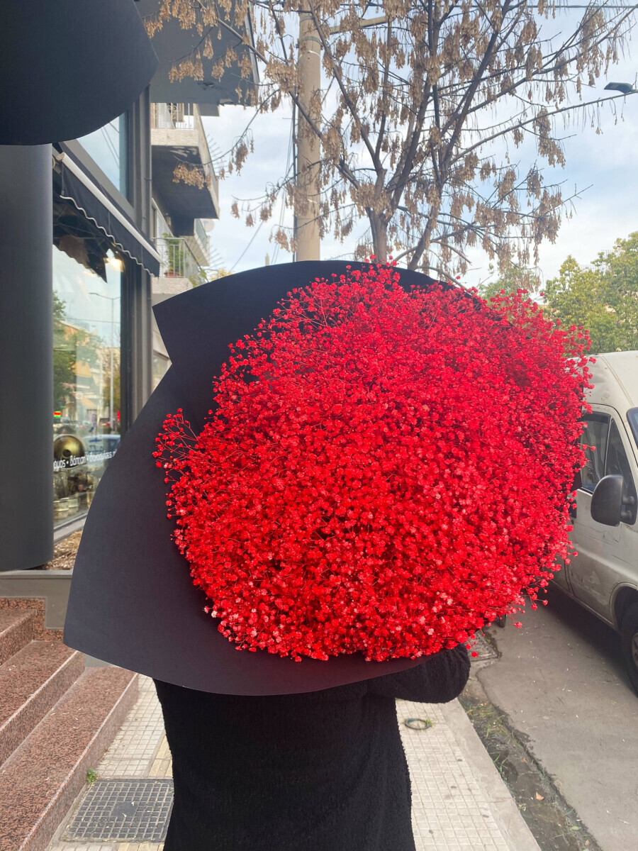 Bouquet Gypsophila Red Valentine