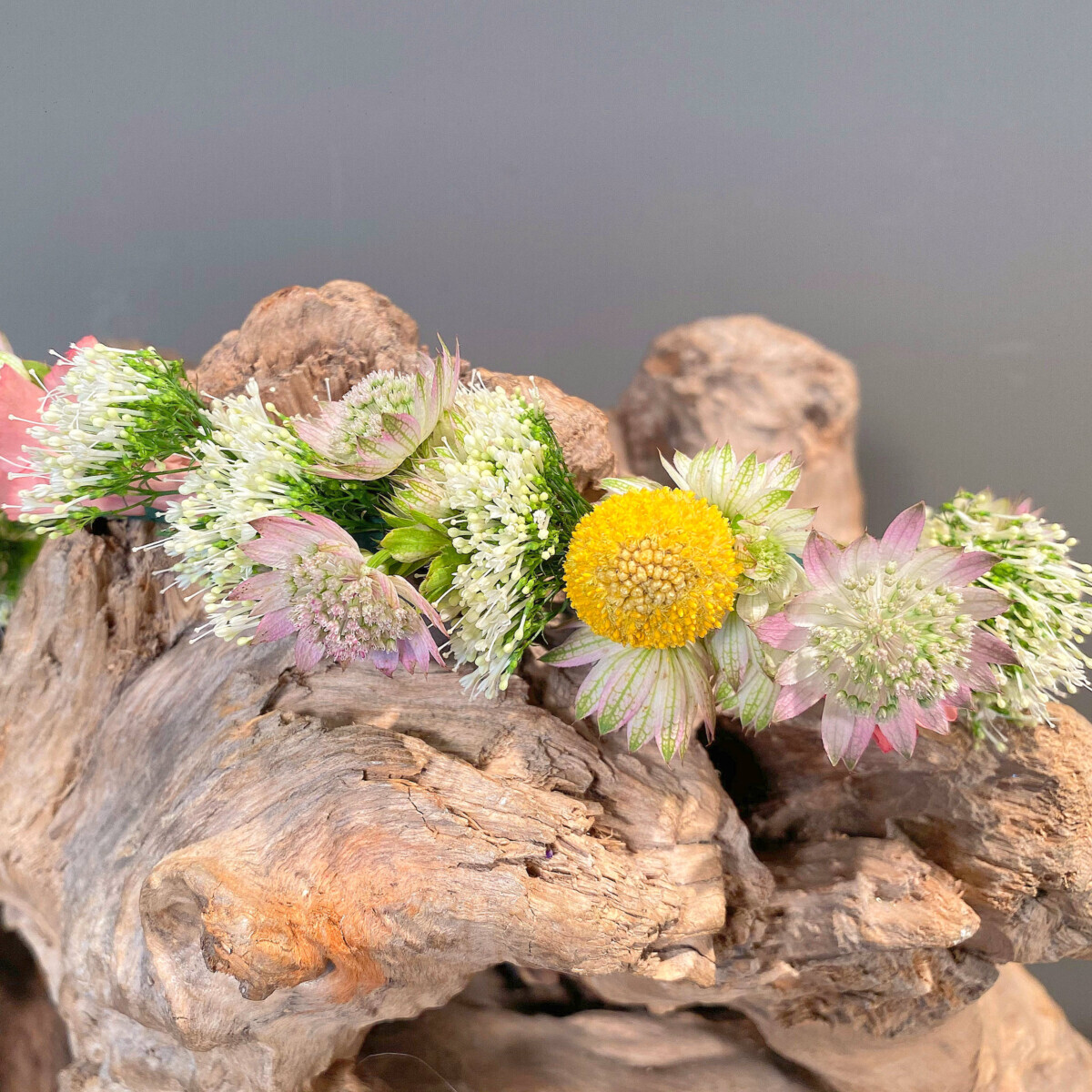 Bridal Hair Wreath Craspedia Astrantia Limonium