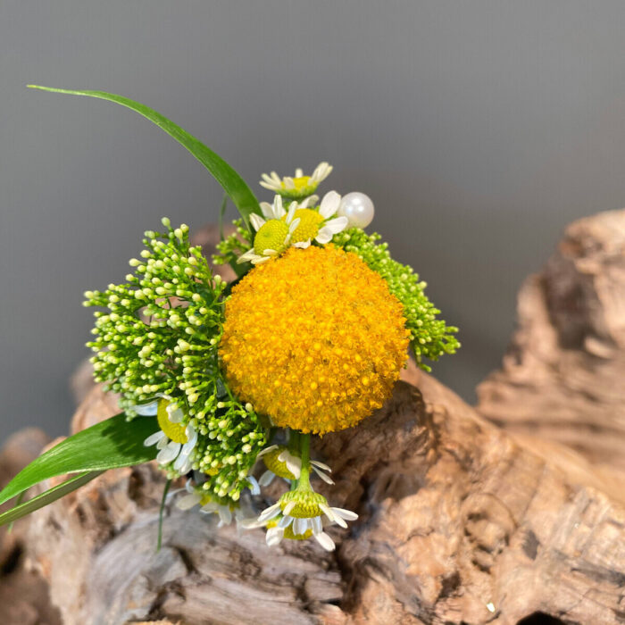 Bridal Coif Craspedia Trachelium Chamomile