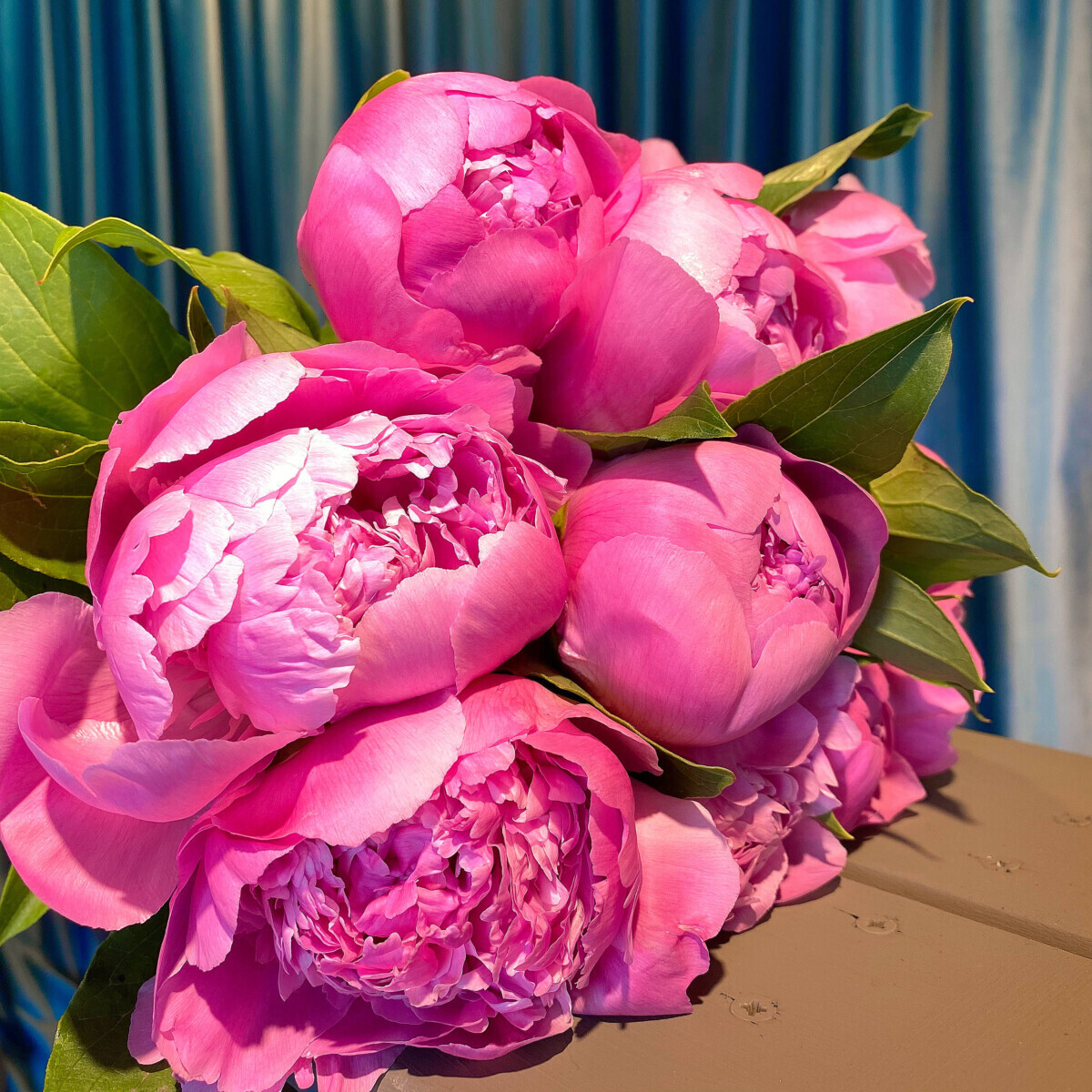 Bouquet 10 Fuchsia Peonies