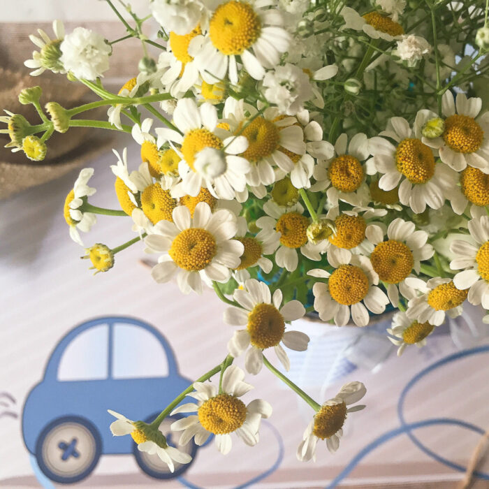 Christening Decoration Chamomile Gypsophila